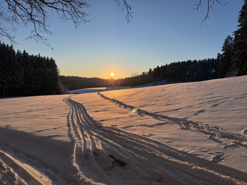 WEbsite Langlaufen
